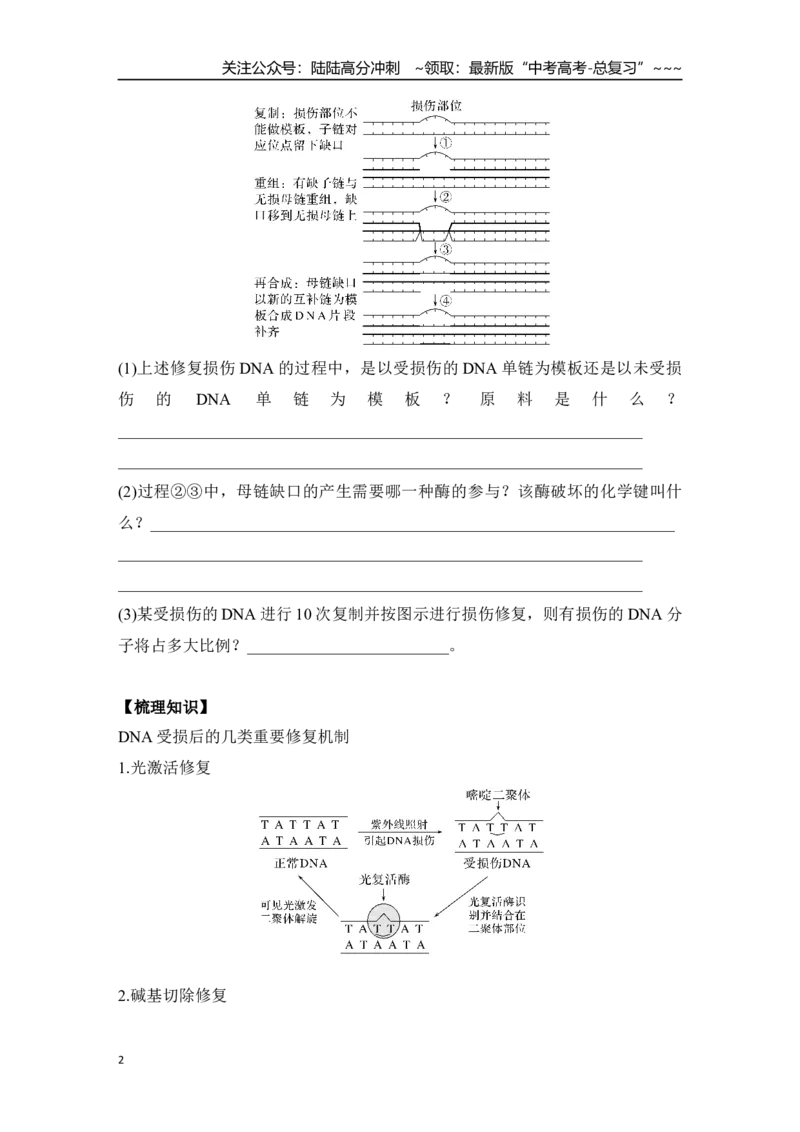 《微专题13：DNA损伤的修复机制与基因表达调控_06-生物-高考总复习_一轮复习_2026年-生物高考一轮复习_12026届高三生物一轮复习讲义》第2页预览