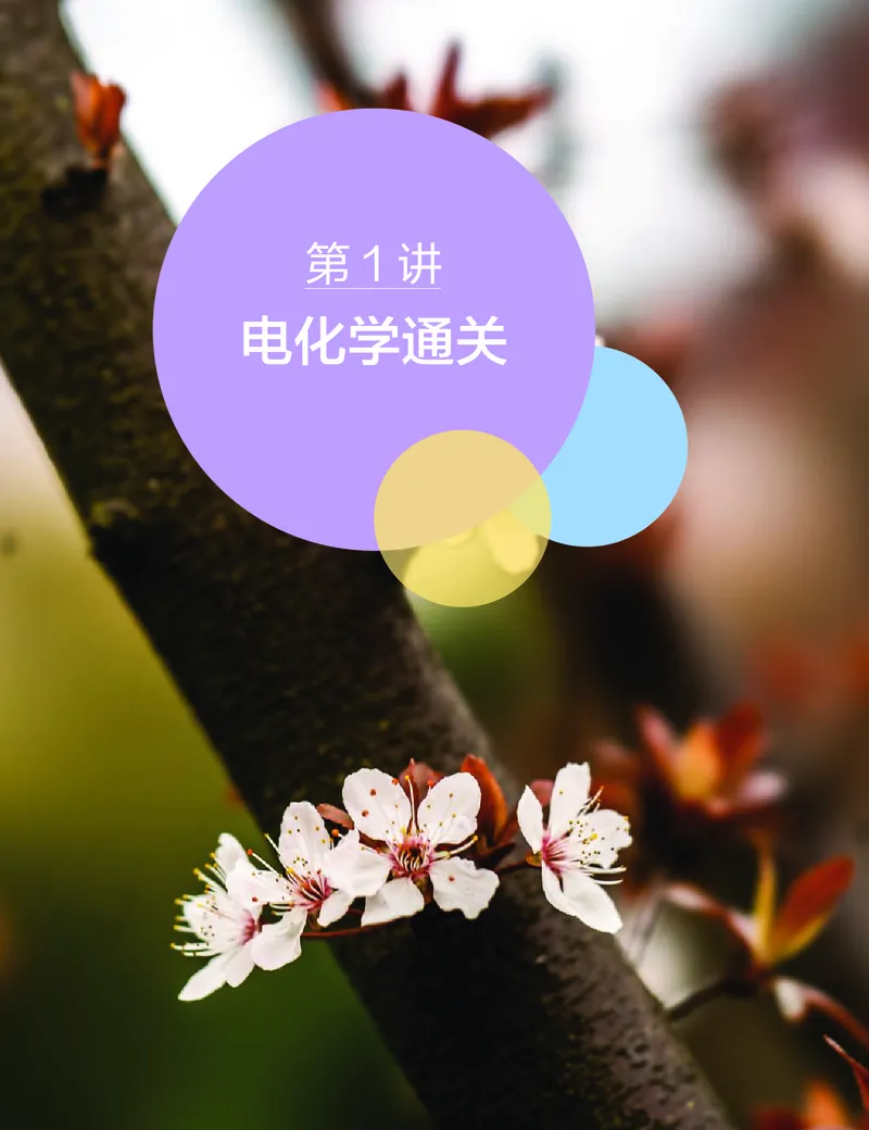 《春季目标985班高三化学2轮复习（上）直播班（全国）-7c00f0f5bec7_学而思高三全套_2020春季高三_春季目标985班高三化学2轮复习直播班（全国）贾世增》第3页预览