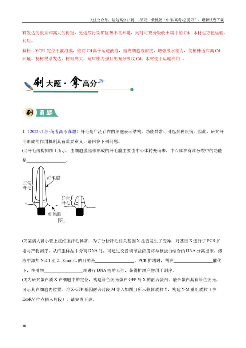 《大题05基因工程（教师版）_06-生物-高考总复习_专项复习_2025年_2025年高考生物大题突破+限时集训（安徽专用）》第10页预览