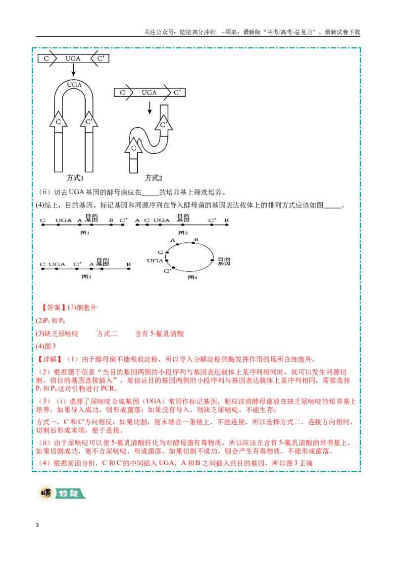 《大题05基因工程（教师版）_06-生物-高考总复习_专项复习_2025年_2025年高考生物大题突破+限时集训（安徽专用）》第3页预览