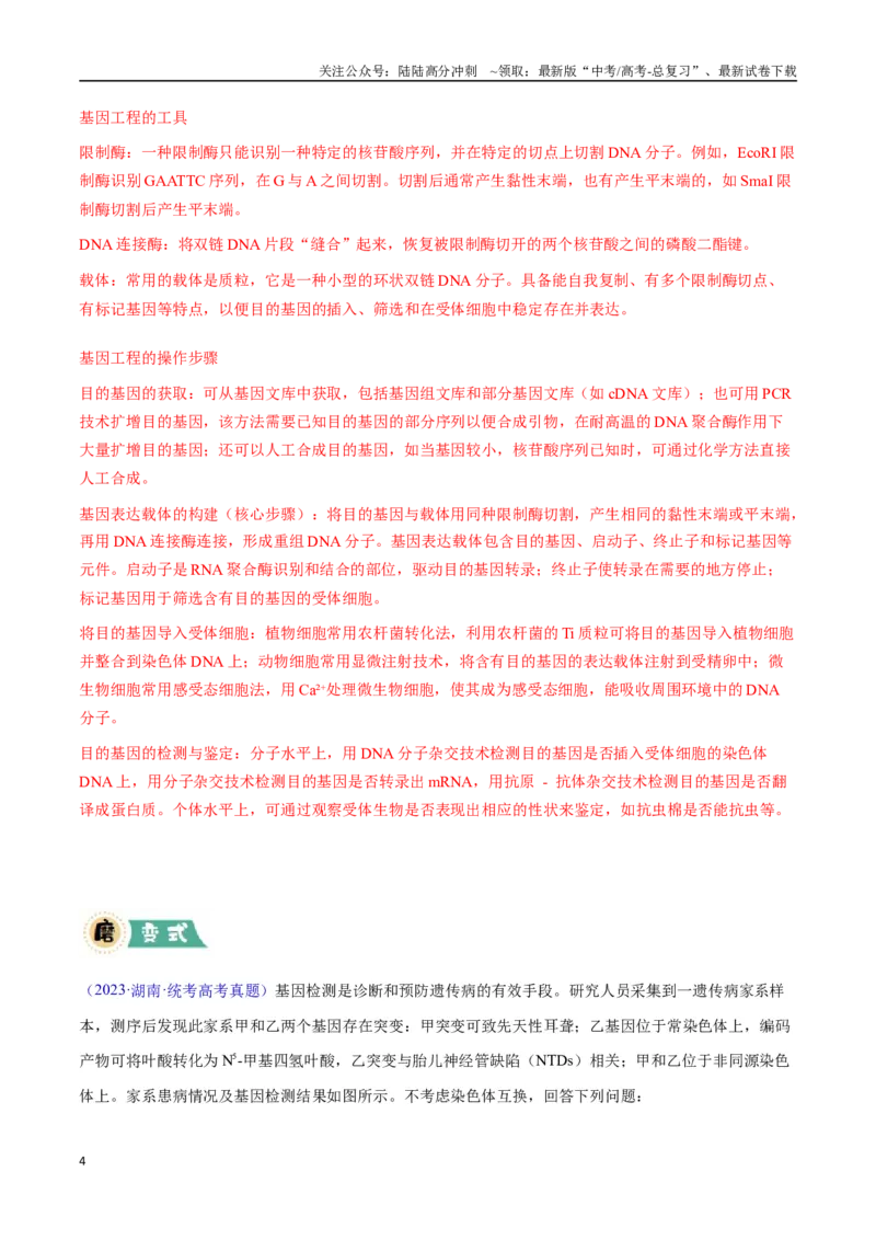 《大题05基因工程（教师版）_06-生物-高考总复习_专项复习_2025年_2025年高考生物大题突破+限时集训（安徽专用）》第4页预览