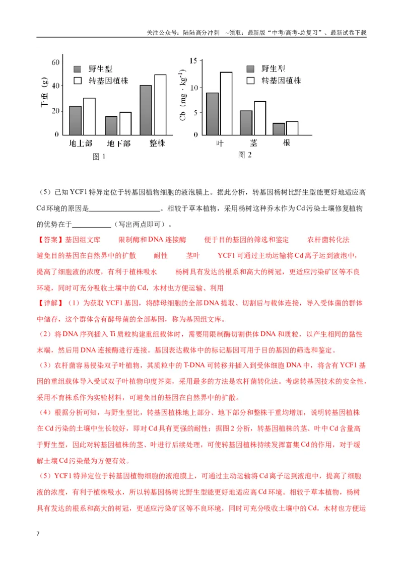 《大题05基因工程（教师版）_06-生物-高考总复习_专项复习_2025年_2025年高考生物大题突破+限时集训（安徽专用）》第7页预览