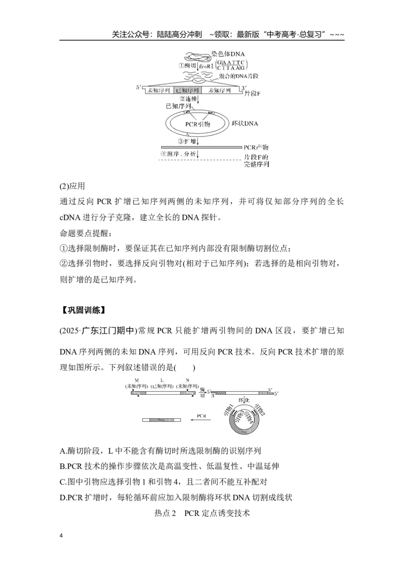 《微专题15：RT－PCR、反向PCR与PCR定点诱变技术_06-生物-高考总复习_一轮复习_2026年-生物高考一轮复习_12026届高三生物一轮复习讲义》第4页预览