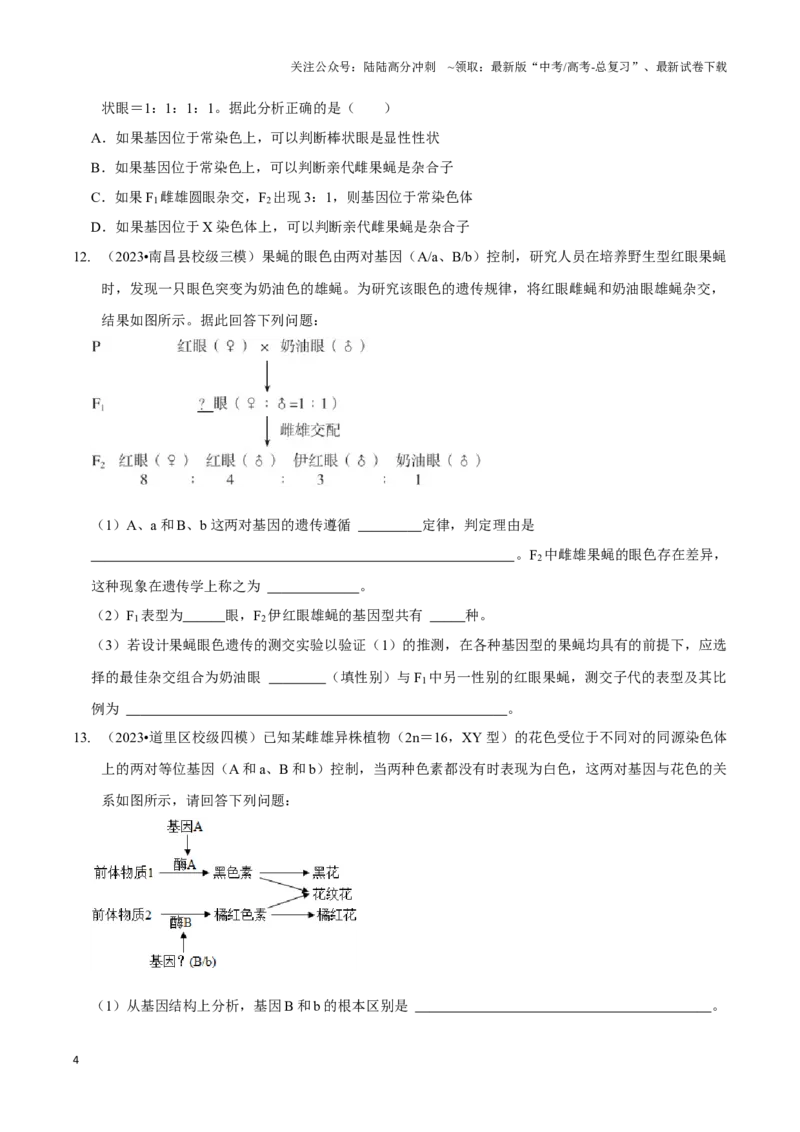 《微专题3遗传基本规律的综合及遗传实验设计（精练）（原卷版）_06-生物-高考总复习_一轮复习_2024年_2023-2024学年高三生物一轮复习_资料》第4页预览