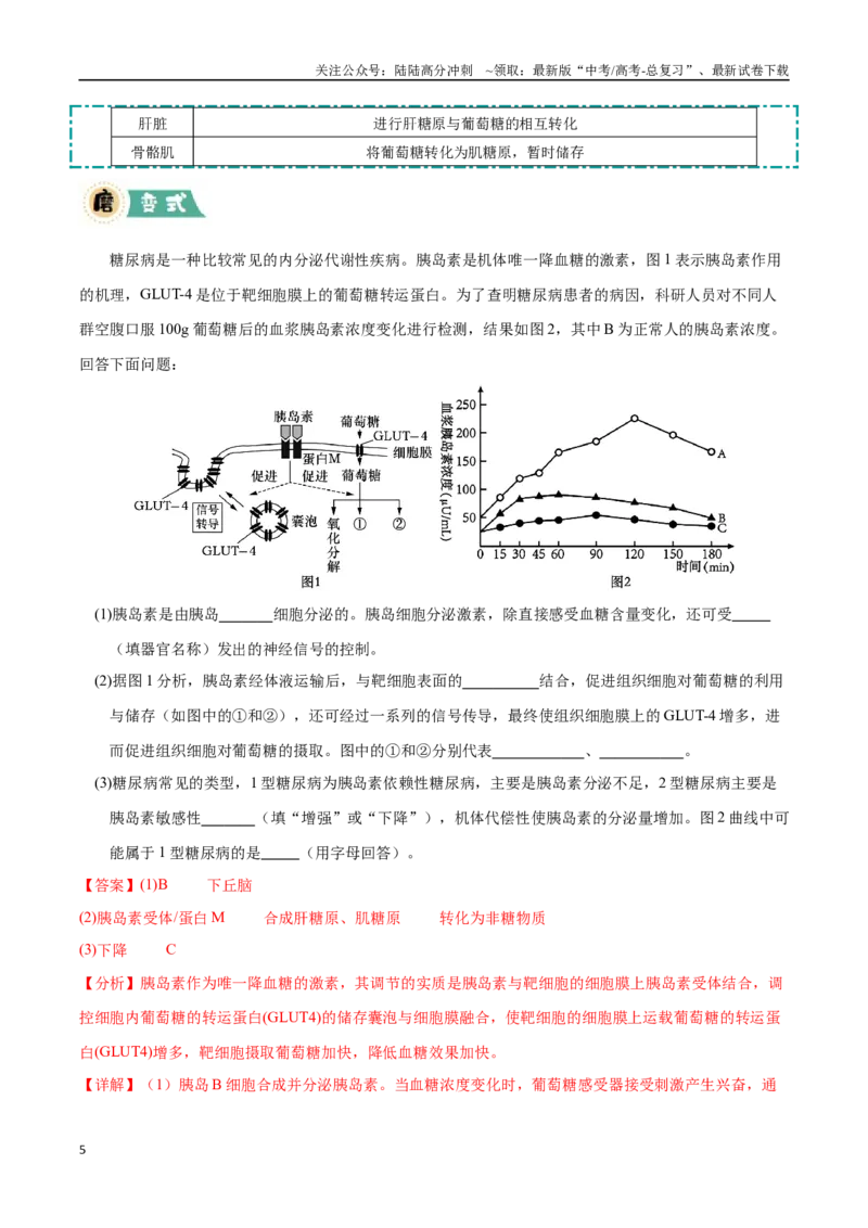 《大题02动物生命活动的调节（黑吉辽蒙专用）（教师版）_06-生物-高考总复习_专项复习_2025年_2025年高考生物大题突破+限时集训（黑吉辽蒙专用）》第5页预览