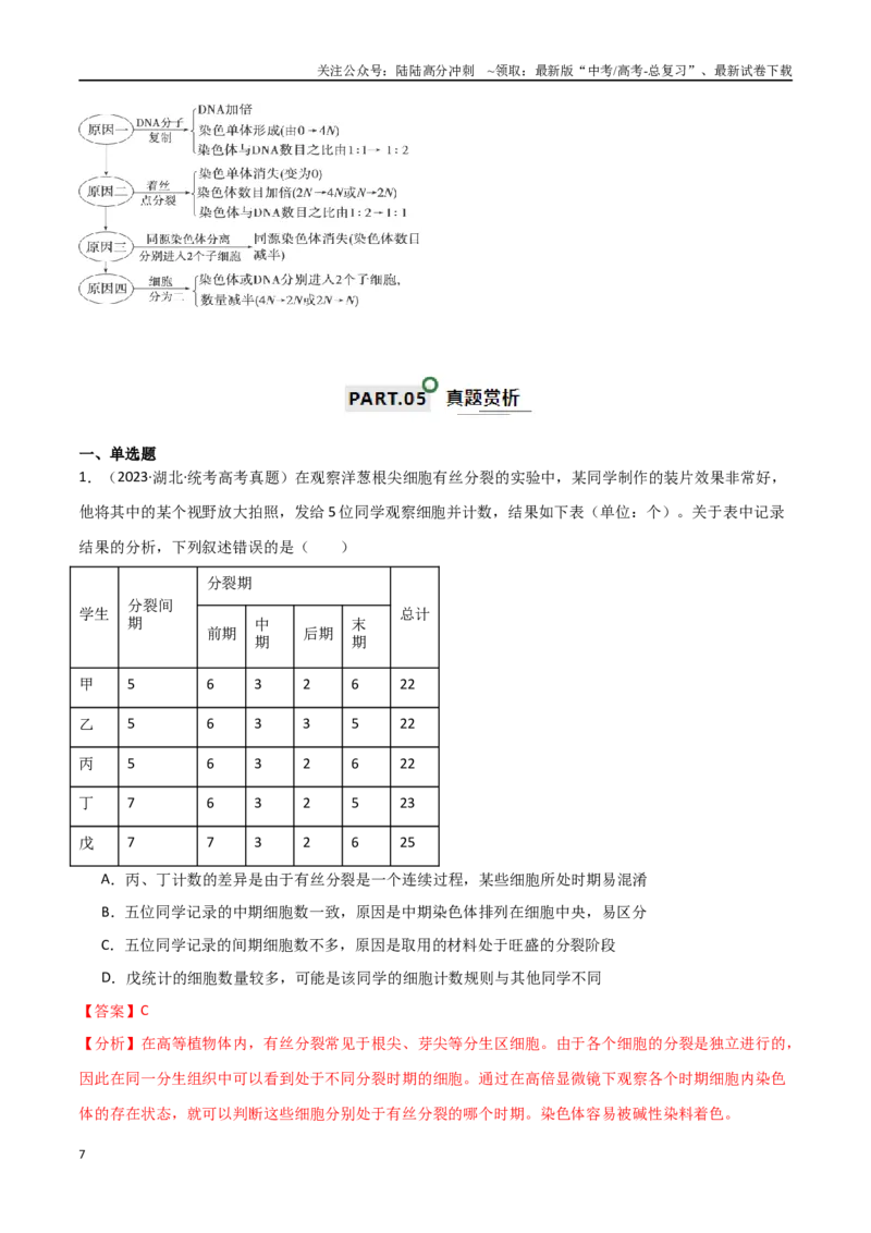 《宝典06细胞的增殖和减数分裂（解析版）_06-生物-高考总复习_一轮复习_2024年_2024年高考生物一轮复习知识清单必背总结全国通用_资料》第7页预览