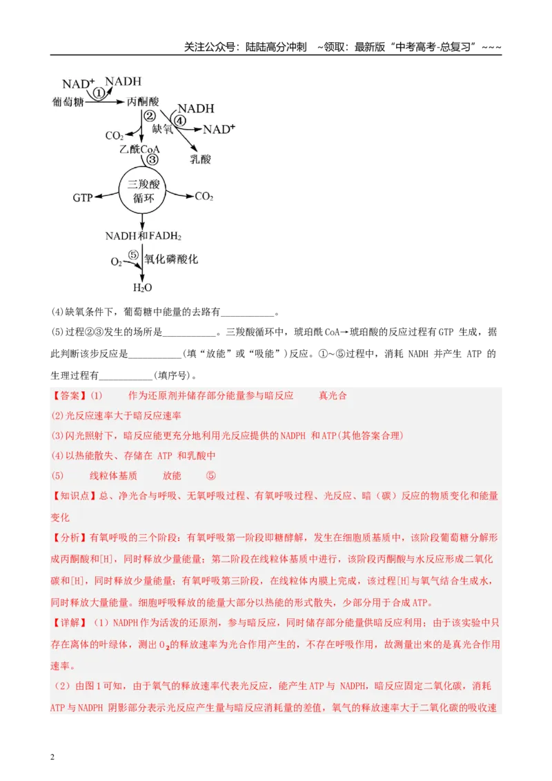 《大题仿真预测卷01（教师版）_06-生物-高考总复习_专项复习_2026年-生物高考专项复习_2026年高考生物终极冲刺讲练测（全国通用）-G459_2026版》第2页预览