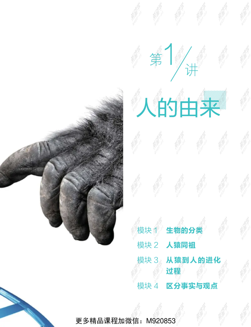 《wx_11220108452724-初一生物目标A加班-全国-讲义-正文-1641969628801-bf611de9649c_学而思初中1年级_2022春初一_初一春季生物全国版A+张雨桐完结》第7页预览