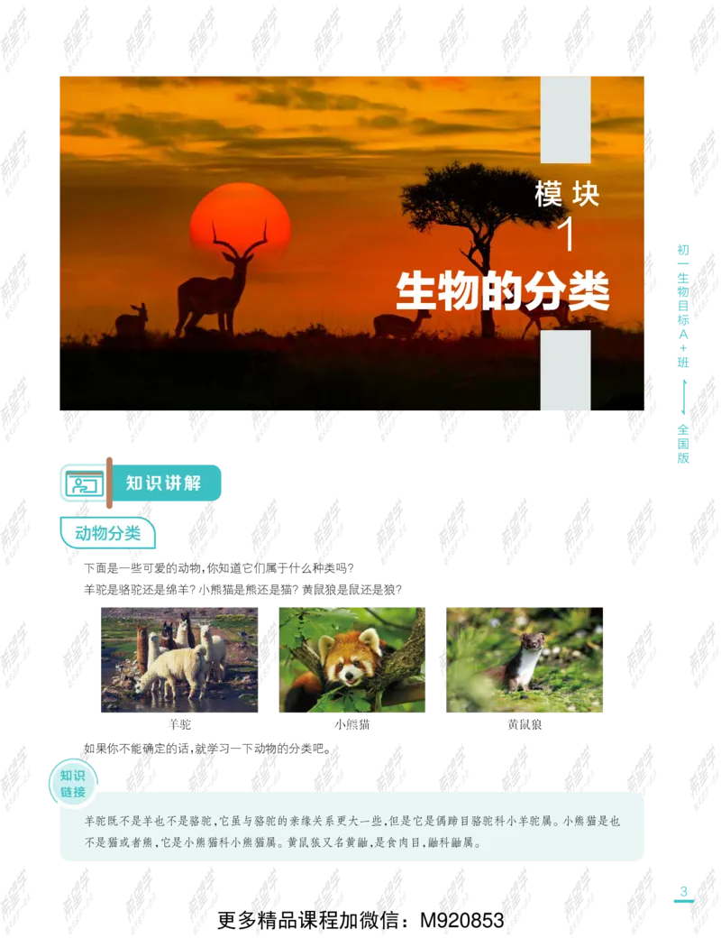 《wx_11220108452724-初一生物目标A加班-全国-讲义-正文-1641969628801-bf611de9649c_学而思初中1年级_2022春初一_初一春季生物全国版A+张雨桐完结》第9页预览