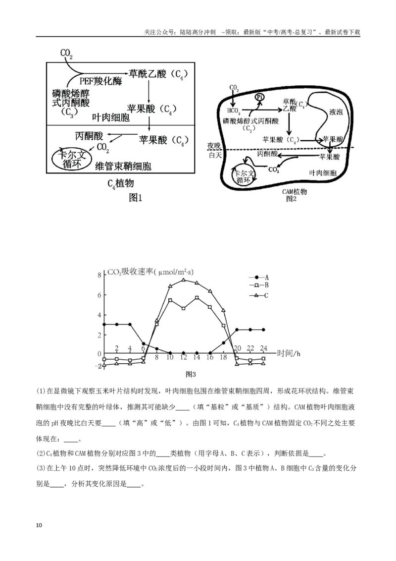 《微专题02植物生理及农作物增产（原卷版）_06-生物-高考总复习_二轮复习_2024年_2024高三生物高考二轮复习热点命题专题真题模拟题_资料》第10页预览