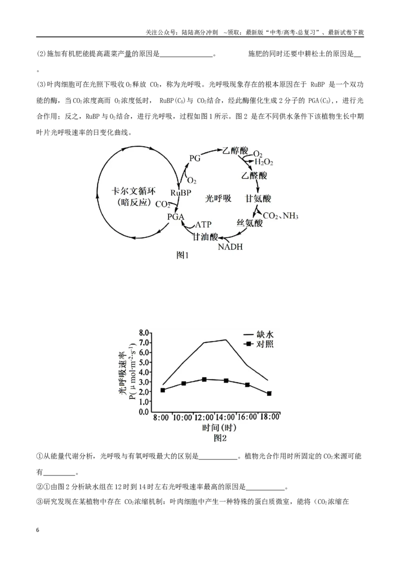 《微专题02植物生理及农作物增产（原卷版）_06-生物-高考总复习_二轮复习_2024年_2024高三生物高考二轮复习热点命题专题真题模拟题_资料》第6页预览