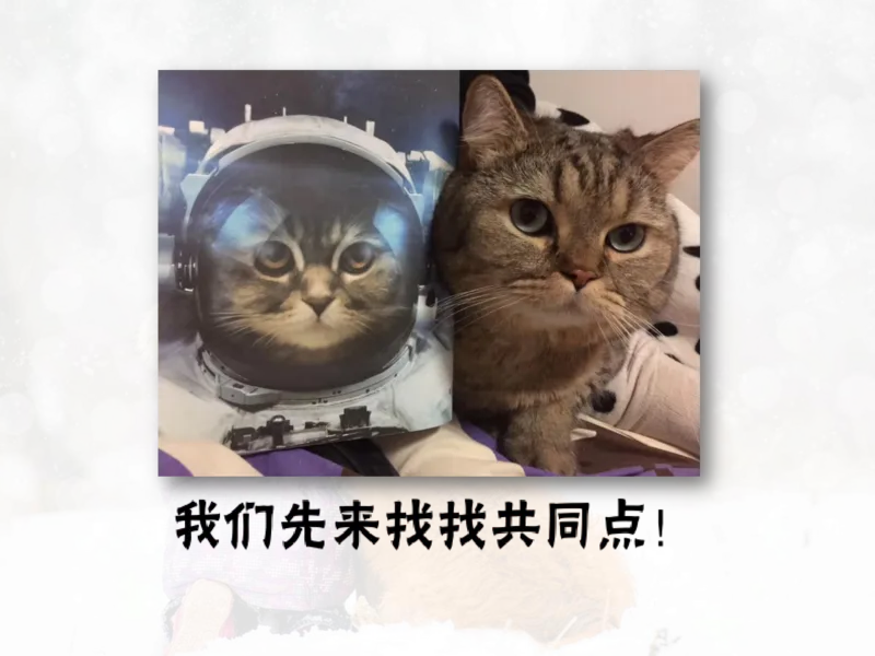 《斐然英语高三清北班Lecture1-补充版讲义-2cae88437523_学而思高三全套_2020春季高三_20春季目标清北班高三英语2轮复习（全国）14讲顾斐(1)》第7页预览