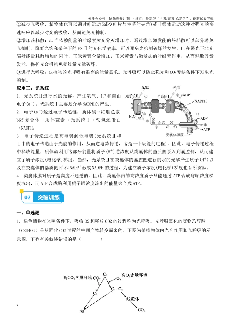 《尖子生突破06光呼吸、光抑制和光系统过程（原卷版）_06-生物-高考总复习_专项复习_2024年_2024年高考生物重难点突破精讲_资料》第2页预览