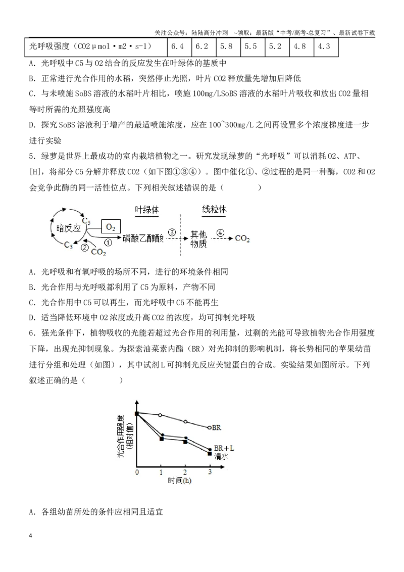 《尖子生突破06光呼吸、光抑制和光系统过程（原卷版）_06-生物-高考总复习_专项复习_2024年_2024年高考生物重难点突破精讲_资料》第4页预览