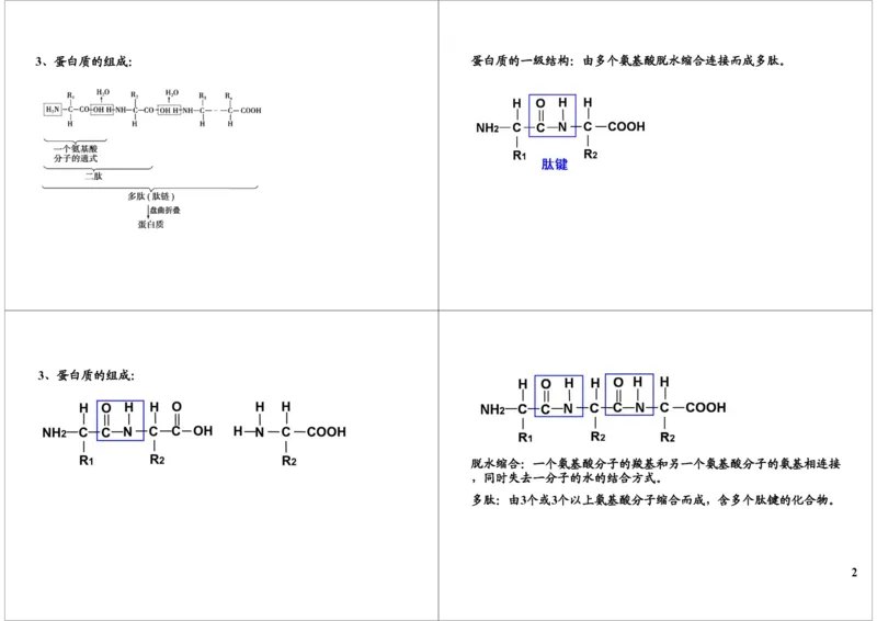 《细胞的物质基础-组成生物体的元素及化合物（二）-6b5a873023fd_学而思高三全套_高三录播课程各种版本_高三一轮二轮_29709-56高考生物一轮总复习（必修+选修1、3）》第2页预览