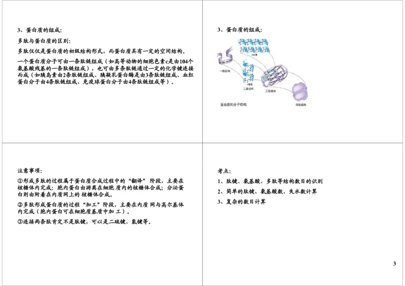 《细胞的物质基础-组成生物体的元素及化合物（二）-6b5a873023fd_学而思高三全套_高三录播课程各种版本_高三一轮二轮_29709-56高考生物一轮总复习（必修+选修1、3）》第3页预览
