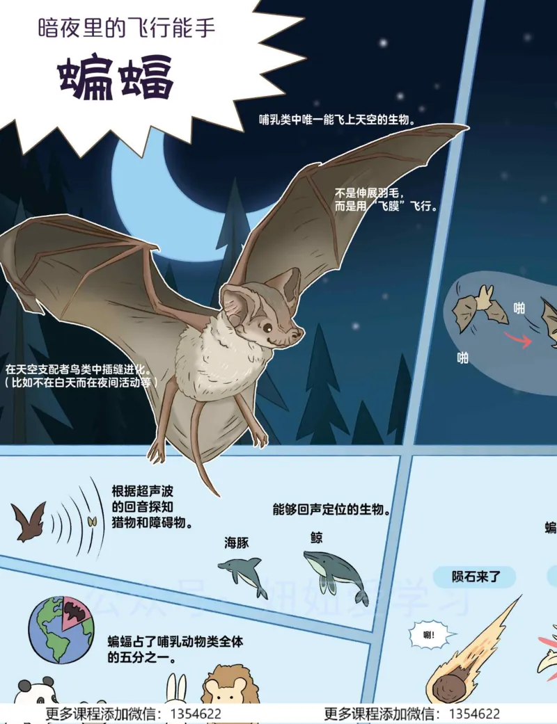 《初二生物-春上-全国版A加-讲义2_Password_Removed-7565cb0f9339_学而思初中2年级_2024春上初二_08.2024春上初二生物A+班张雨桐》第4页预览