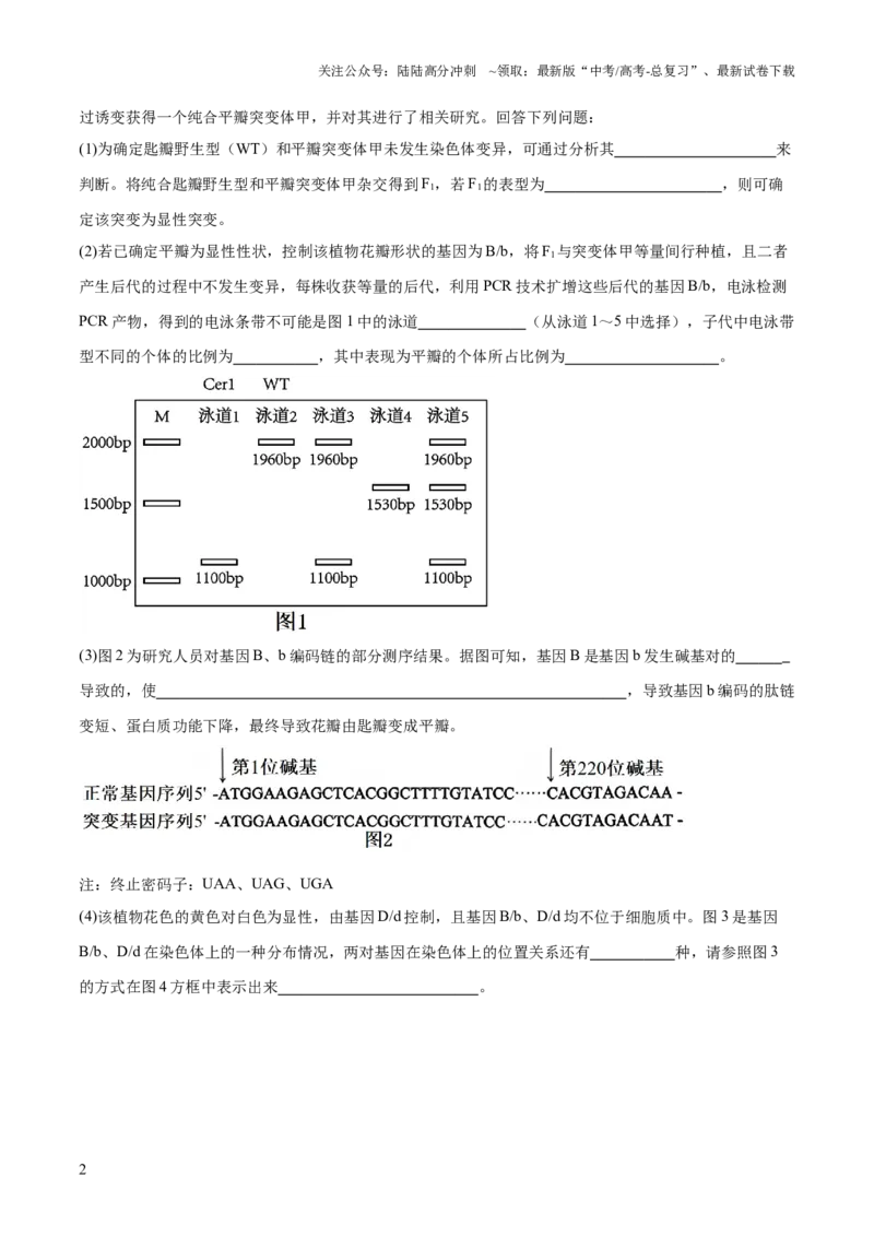 《大题预测02（原卷版）_06-生物-高考总复习_三轮冲刺_大题精做冲刺2025年高考生物大题突破+限时集训（新高考通用）》第2页预览