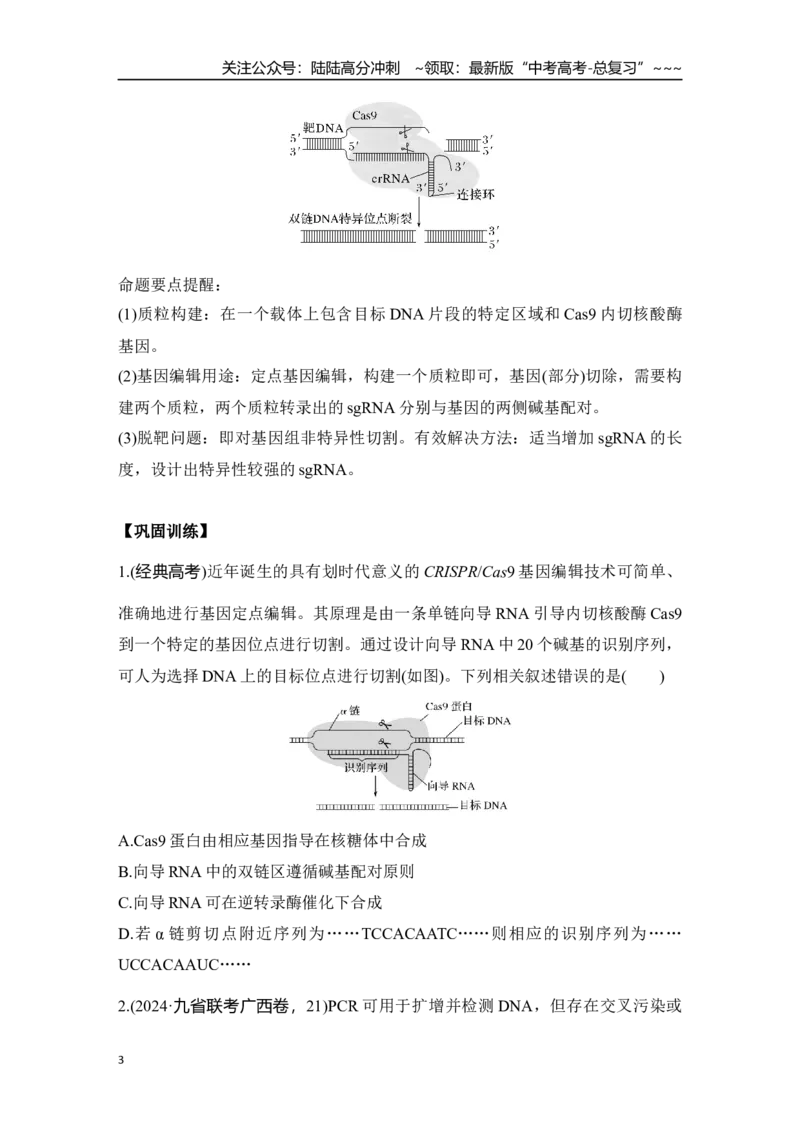 《微专题16：CRISPRCas9基因编辑、融合基因与融合蛋白、单酶切导致的正、反接的电泳检测和PCR检测_06-生物-高考总复习_一轮复习_2026年-生物高考一轮复习_12026届高三生物一轮复习讲义》第3页预览