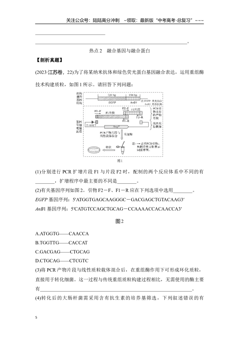 《微专题16：CRISPRCas9基因编辑、融合基因与融合蛋白、单酶切导致的正、反接的电泳检测和PCR检测_06-生物-高考总复习_一轮复习_2026年-生物高考一轮复习_12026届高三生物一轮复习讲义》第5页预览