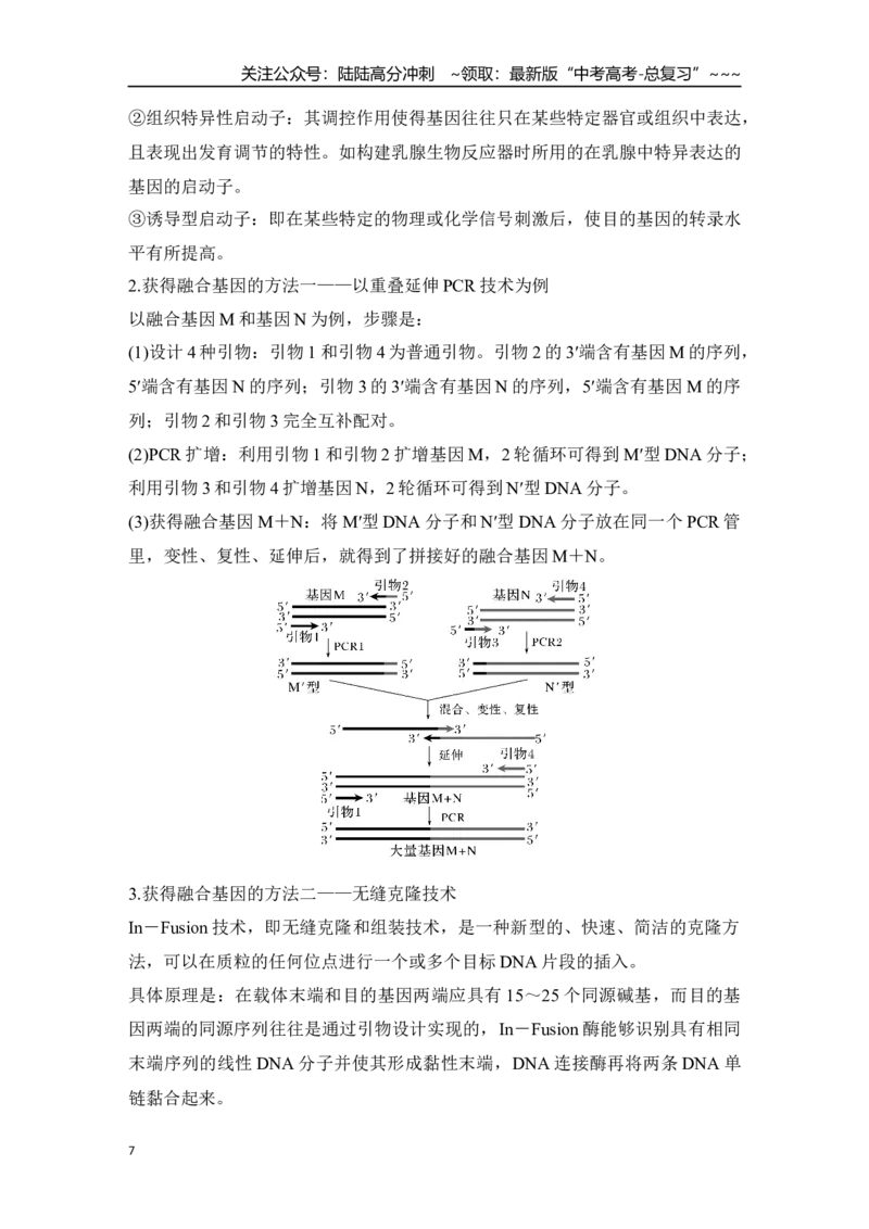 《微专题16：CRISPRCas9基因编辑、融合基因与融合蛋白、单酶切导致的正、反接的电泳检测和PCR检测_06-生物-高考总复习_一轮复习_2026年-生物高考一轮复习_12026届高三生物一轮复习讲义》第7页预览