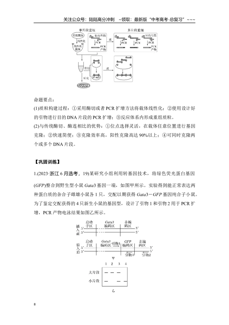 《微专题16：CRISPRCas9基因编辑、融合基因与融合蛋白、单酶切导致的正、反接的电泳检测和PCR检测_06-生物-高考总复习_一轮复习_2026年-生物高考一轮复习_12026届高三生物一轮复习讲义》第8页预览