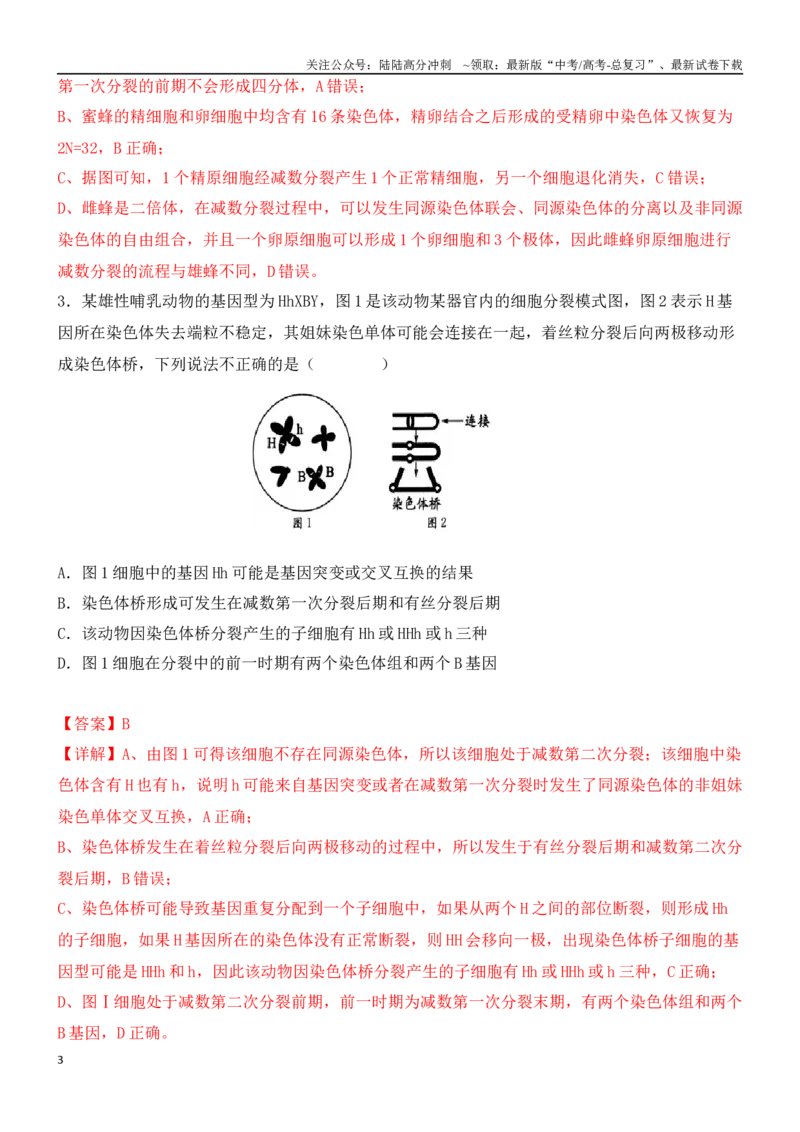 《尖子生突破05细胞的特殊分裂方式（解析版）_06-生物-高考总复习_专项复习_2024年_2024年高考生物重难点突破精讲_资料》第3页预览