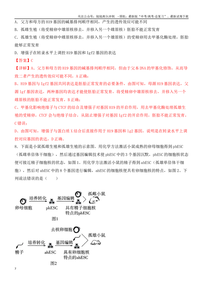 《尖子生突破05细胞的特殊分裂方式（解析版）_06-生物-高考总复习_专项复习_2024年_2024年高考生物重难点突破精讲_资料》第7页预览