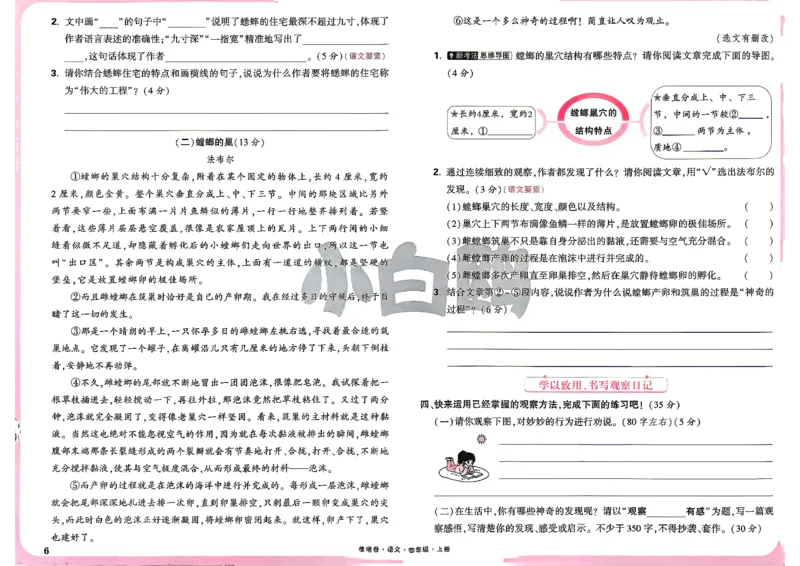 《4上语文小白哦情境卷主卷_2027版小学《小白鸥情境卷》1-5年级（语文）》第9页预览