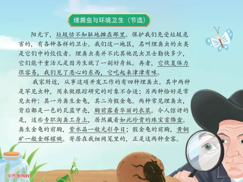《糖果班第三讲《昆虫记》补充阅读理解文章-fa59e0eded7a_小学学而思全套_四年级全套_四年级2020年暑-2021年的直播课_2020年秋季课程四年级_2020年秋季课程四年级语文_第三讲资料》第1页预览