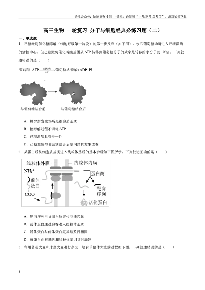 《必修1分子与细胞必刷卷02（原卷版）_06-生物-高考总复习_一轮复习_2024年_2024年高考生物一轮复习收官必刷卷（新教材新高考）_资料》第1页预览