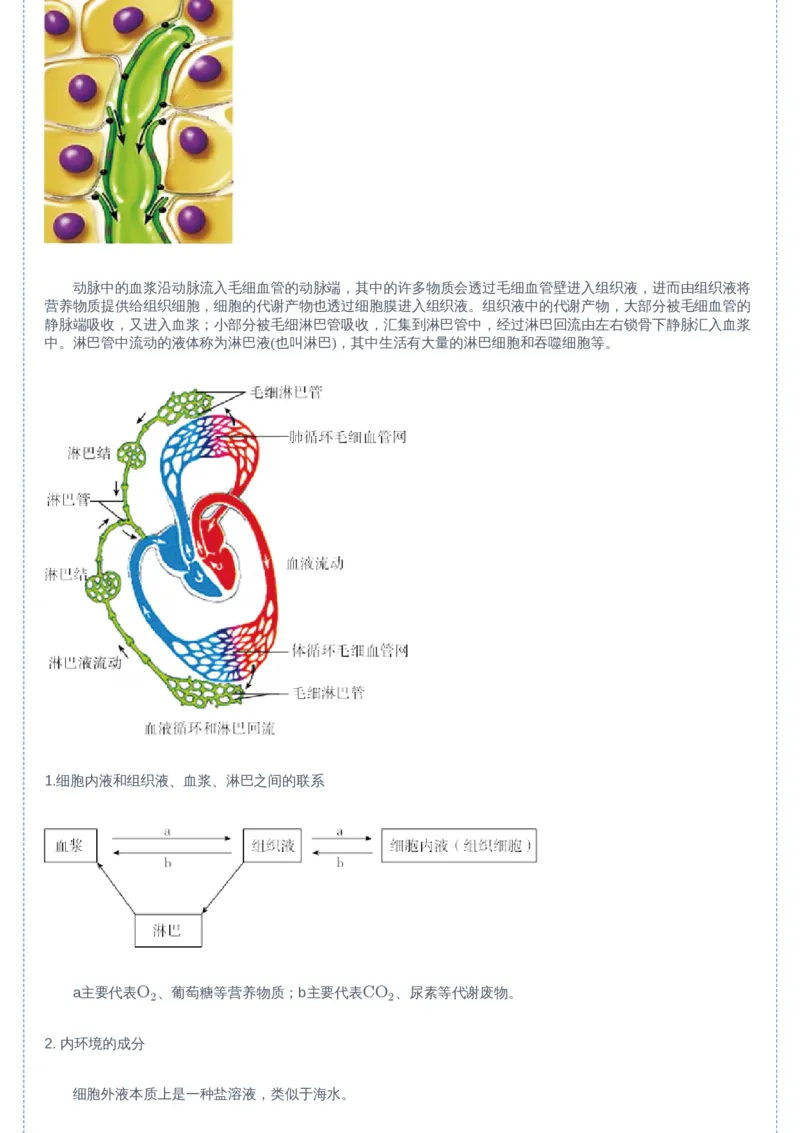 《01讲-9ea9e95ae42d_学而思高二全套_2019年暑假高二(1)_高二暑生物陆魏巍_讲义》第4页预览