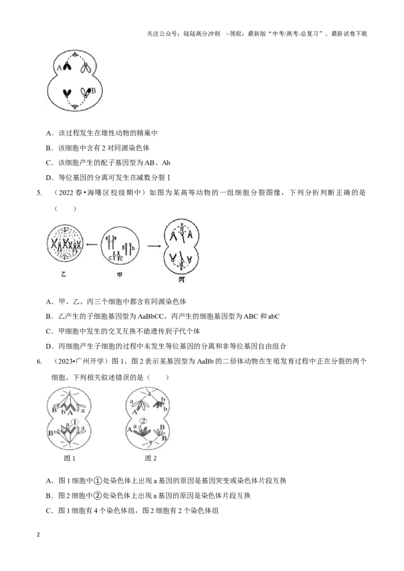 《微专题2细胞分裂的综合分析（精练）（原卷版）_06-生物-高考总复习_一轮复习_2024年_2023-2024学年高三生物一轮复习_资料》第2页预览