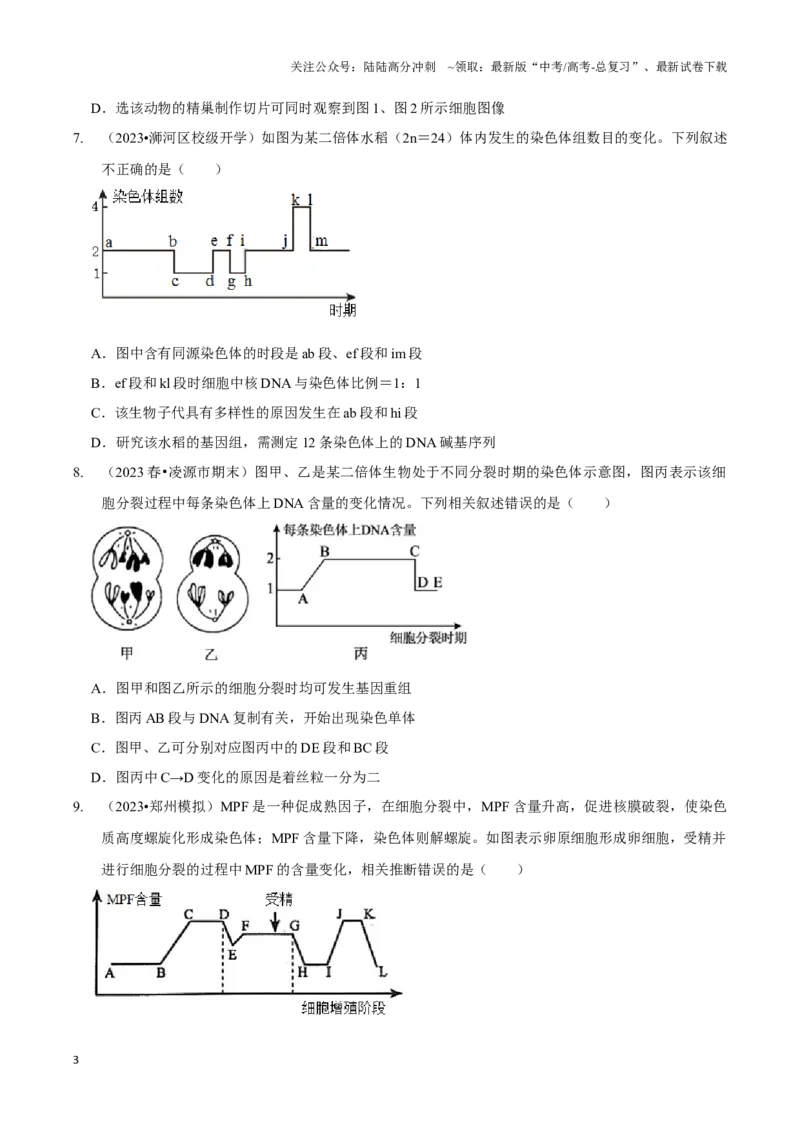 《微专题2细胞分裂的综合分析（精练）（原卷版）_06-生物-高考总复习_一轮复习_2024年_2023-2024学年高三生物一轮复习_资料》第3页预览
