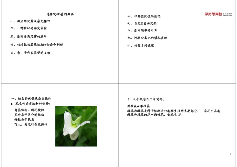 《遗传定律-基因分离-fc120cc74494_学而思高三全套_高三录播课程各种版本_高三一轮二轮_29709-56高考生物一轮总复习（必修+选修1、3）_第16讲：遗传定律-基因分离（一轮上）》第1页预览
