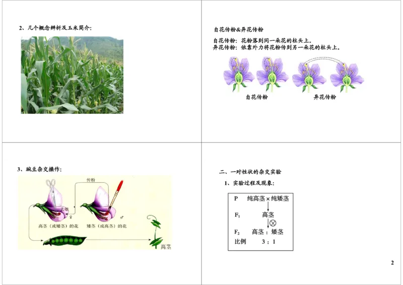 《遗传定律-基因分离-fc120cc74494_学而思高三全套_高三录播课程各种版本_高三一轮二轮_29709-56高考生物一轮总复习（必修+选修1、3）_第16讲：遗传定律-基因分离（一轮上）》第2页预览