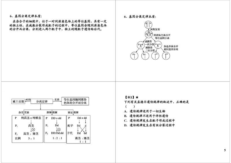 《遗传定律-基因分离-fc120cc74494_学而思高三全套_高三录播课程各种版本_高三一轮二轮_29709-56高考生物一轮总复习（必修+选修1、3）_第16讲：遗传定律-基因分离（一轮上）》第5页预览