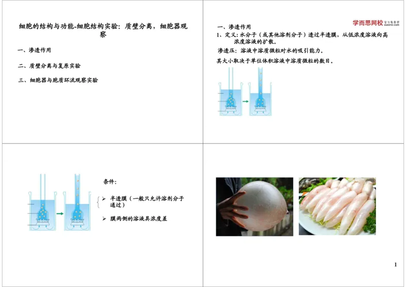 《细胞的结构与功能-细胞结构实验：质壁分离，细胞-3384793ecbcb_学而思高三全套_高三录播课程各种版本_高三一轮二轮_29709-56高考生物一轮总复习（必修+选修1、3）》第1页预览