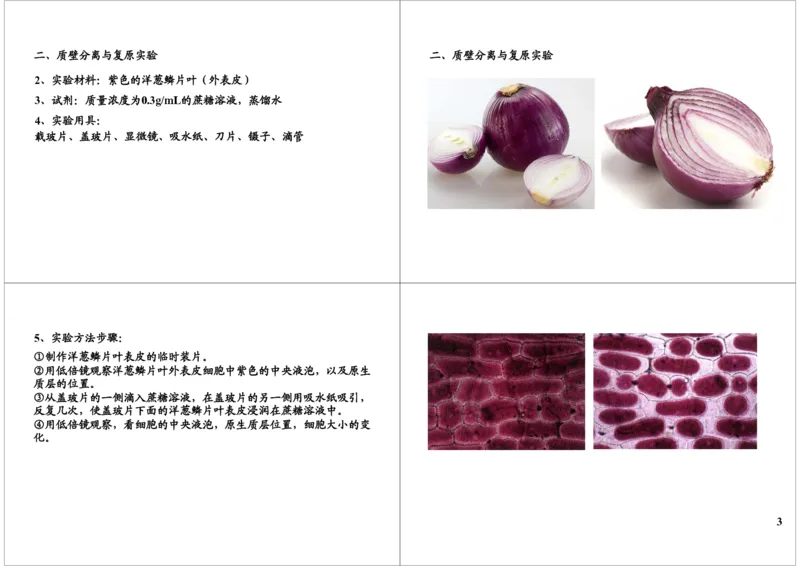 《细胞的结构与功能-细胞结构实验：质壁分离，细胞-3384793ecbcb_学而思高三全套_高三录播课程各种版本_高三一轮二轮_29709-56高考生物一轮总复习（必修+选修1、3）》第3页预览