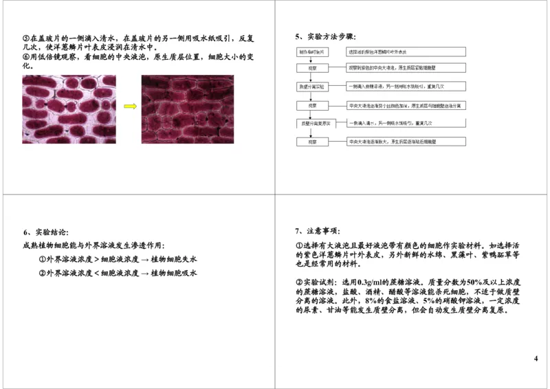 《细胞的结构与功能-细胞结构实验：质壁分离，细胞-3384793ecbcb_学而思高三全套_高三录播课程各种版本_高三一轮二轮_29709-56高考生物一轮总复习（必修+选修1、3）》第4页预览