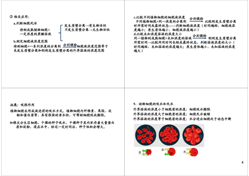 《细胞的结构与功能-细胞结构实验：质壁分离，细胞-3384793ecbcb_学而思高三全套_高三录播课程各种版本_高三一轮二轮_29709-56高考生物一轮总复习（必修+选修1、3）》第6页预览