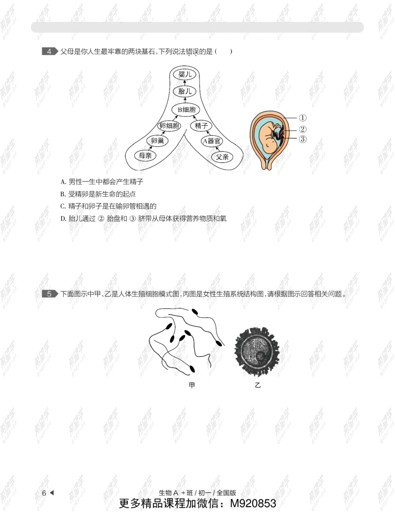 《wx_12220108452723-初一生物目标A加班-全国-练习册-正文-1641972078391-13988cc4ca82_学而思初中1年级_2022春初一_初一春季生物全国版A+张雨桐完结》第10页预览