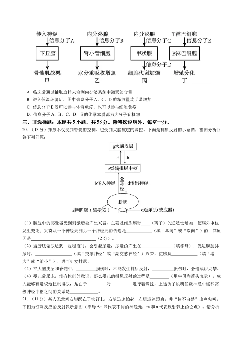 《江苏省盐城市五校2025-2026学年高二上学期期中联考试题生物Word版含答案_20272025-2026学年高二上学期《期中考试试卷合集》全国多省全科（78套）》第6页预览