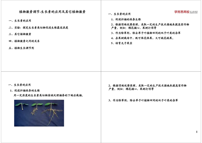 《植物激素调节-生长素的应用及其它植物激素（一轮下）-6753791b7ef2_学而思高三全套_高三录播课程各种版本_高三一轮二轮_29709-56高考生物一轮总复习（必修+选修1、3）》第1页预览