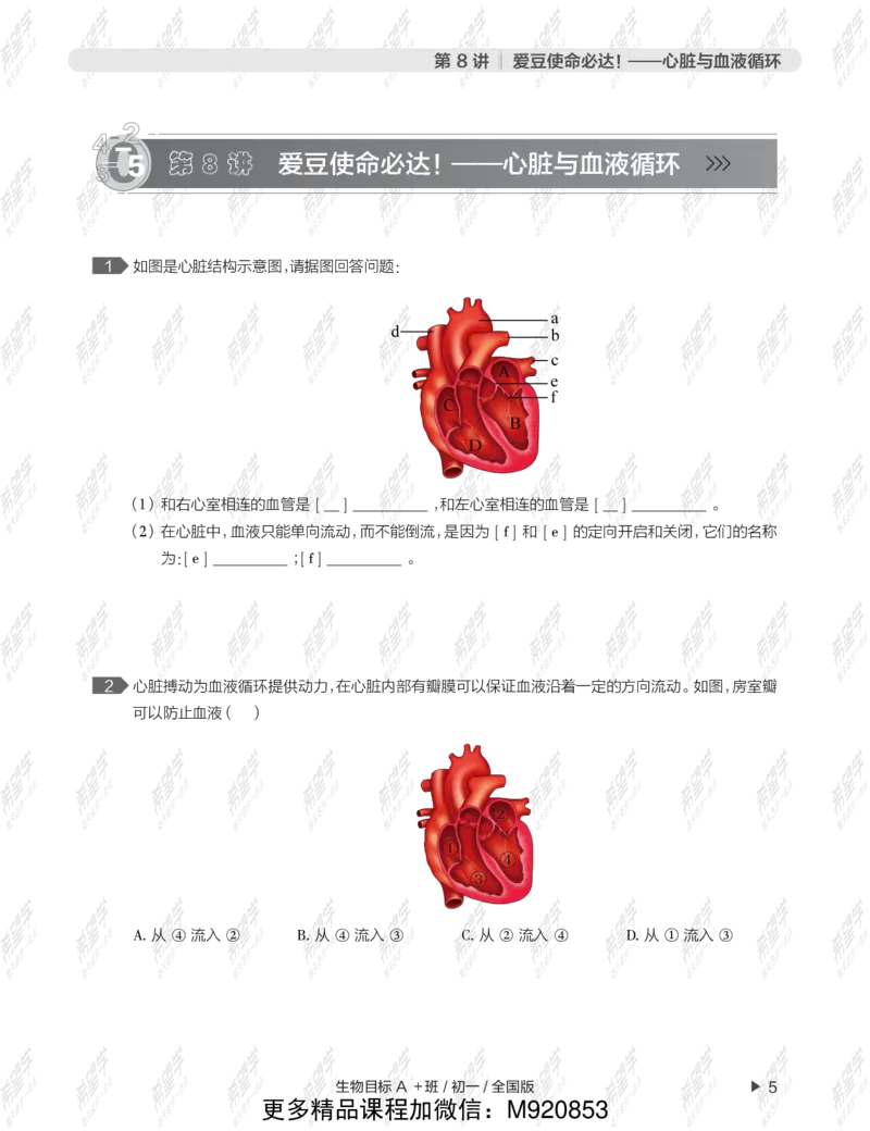 《wx_12211209447700-初一生物目标A加班-全国--正文-1645688936796-ca66e72f14ce_学而思初中1年级_2022春初一_初一春季生物全国版A+张雨桐完结》第9页预览