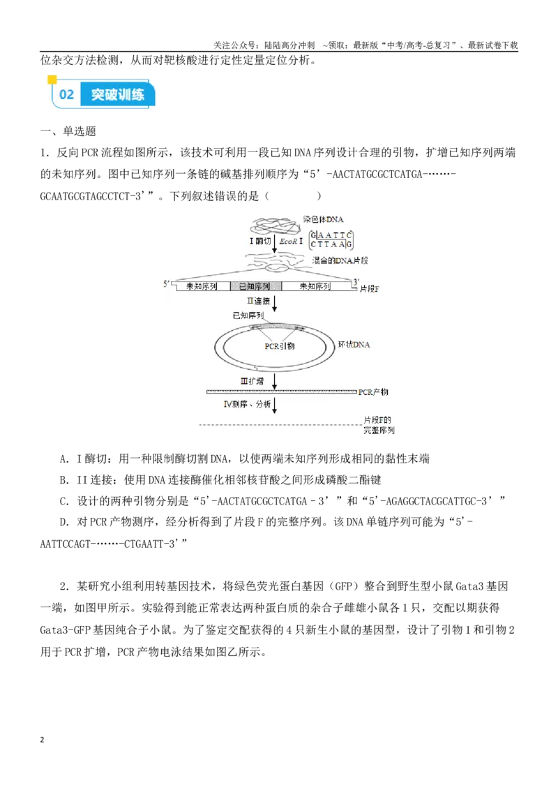 《尖子生突破10PCR技术的应用（原卷版）_06-生物-高考总复习_专项复习_2024年_2024年高考生物重难点突破精讲_资料》第2页预览