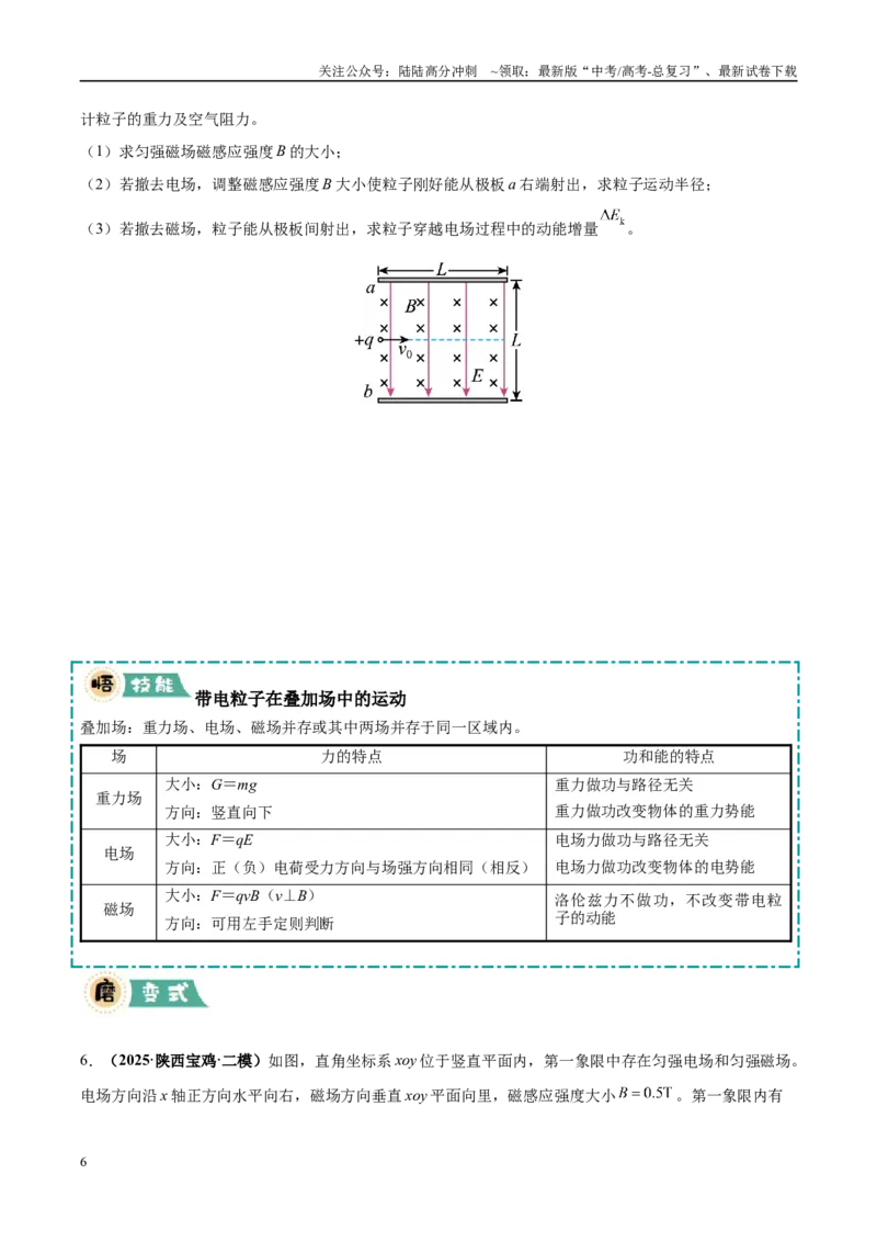 《大题09带电粒子在匀强磁场、复合场中的运动（5大题型）（学生版）_04-物理-高考总复习_专项复习_2025年_2025年高考物理大题突破+限时集训（黑吉辽蒙专用）》第6页预览
