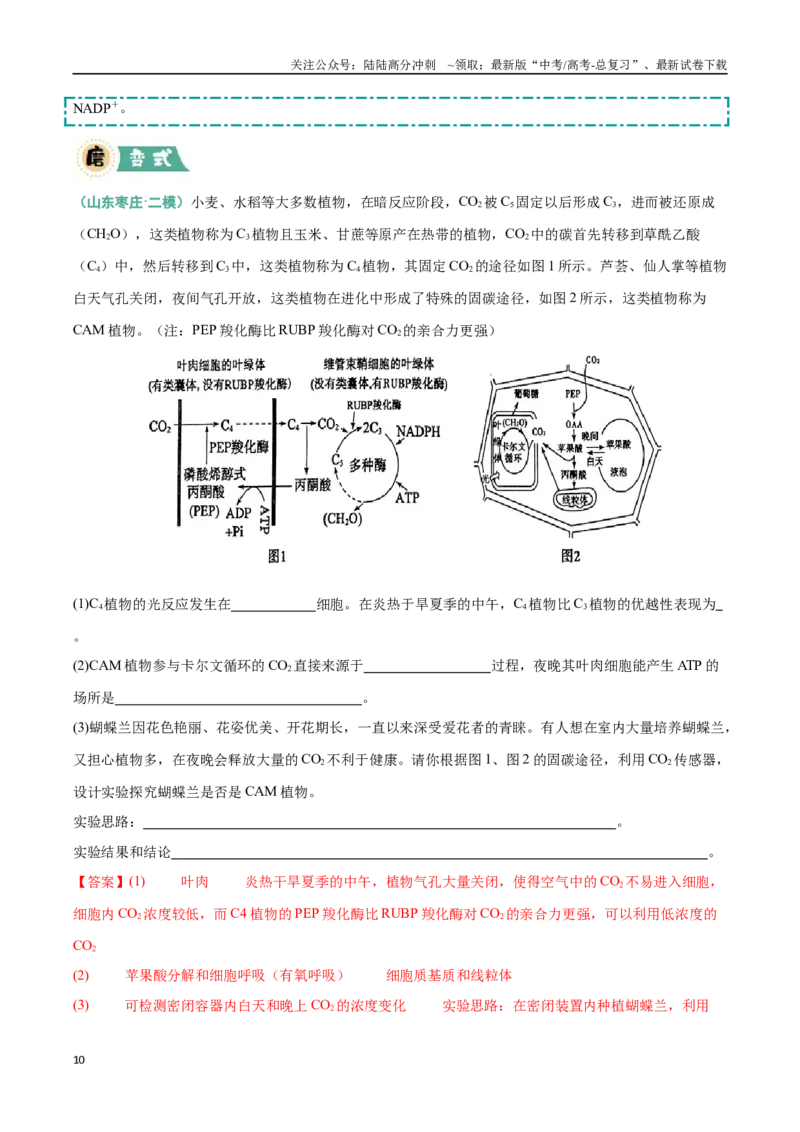 《大题01光合作用（黑吉辽蒙专用）（教师版）_06-生物-高考总复习_专项复习_2025年_2025年高考生物大题突破+限时集训（黑吉辽蒙专用）》第10页预览