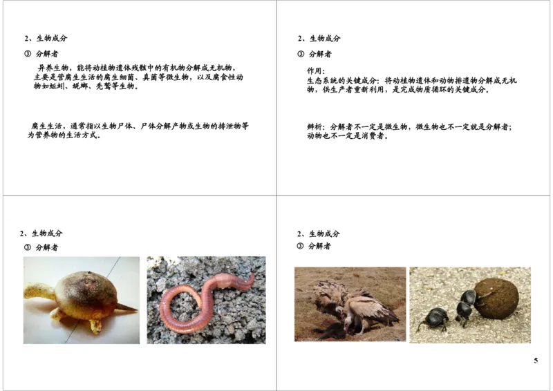 《生态系统--组成、结构（一轮下）-017f6ea65da6_学而思高三全套_高三录播课程各种版本_高三一轮二轮_29709-56高考生物一轮总复习（必修+选修1、3）》第5页预览
