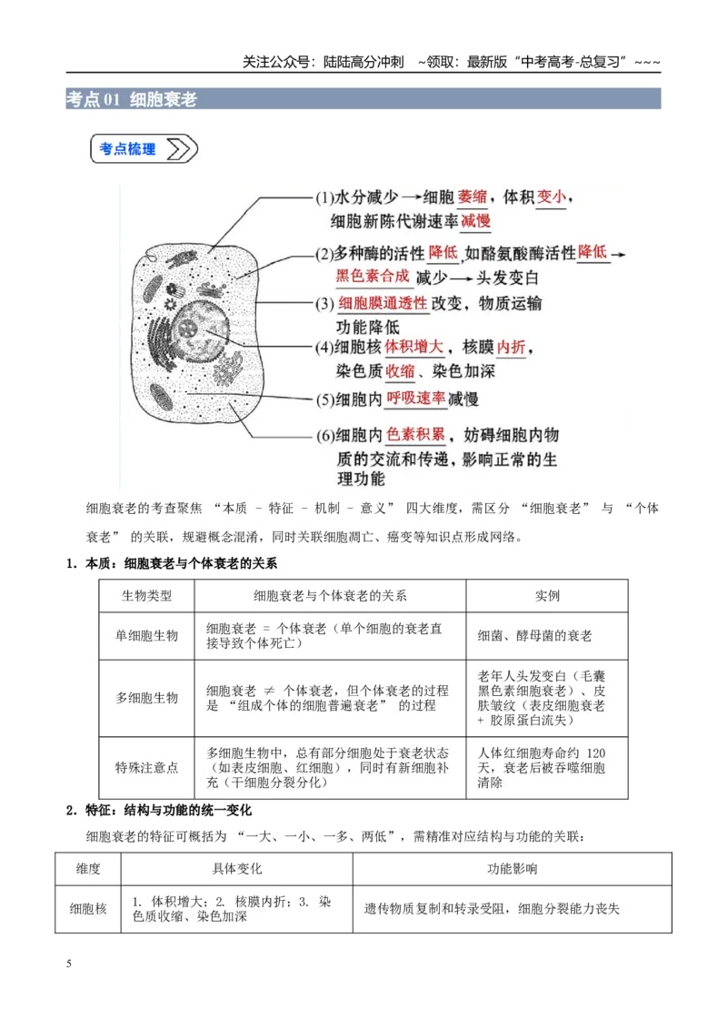 《培优专题05细胞衰老、凋亡与人体健康（高效培优讲义）（全国通用）（教师版）_06-生物-高考总复习_一轮复习_2026年-生物高考一轮复习_2026版_一轮培优提升》第5页预览